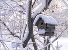 besneeuwde bomen en besneeuwd vogelhuisje